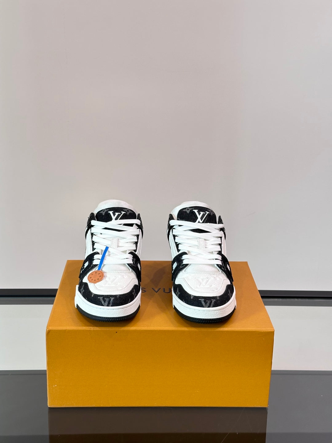 LV Trainer