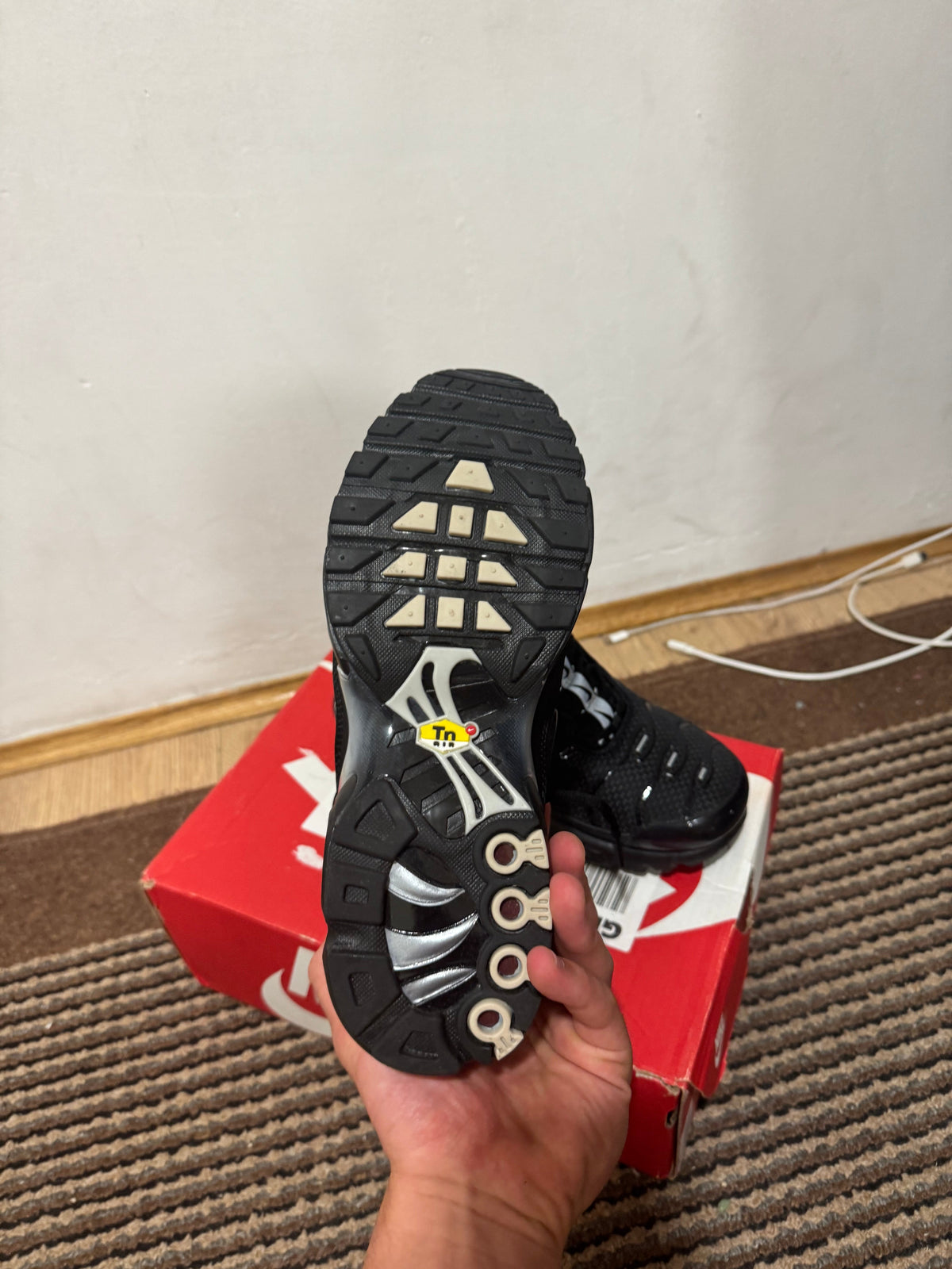 Nike Air max Plus Broj 41(Odmah dostupno)