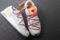 Off white dunk low lot 35
