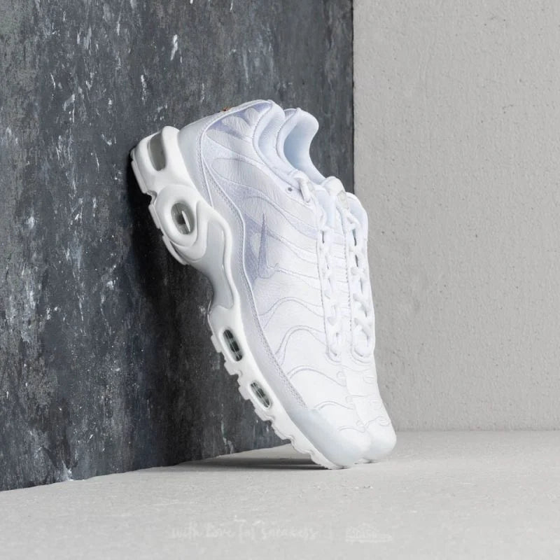 Nike air max plus