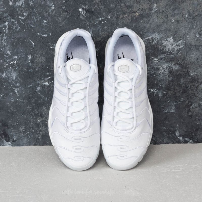 Nike air max plus