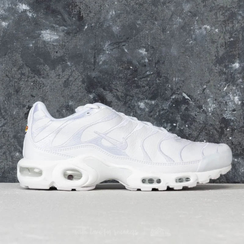 Nike air max plus