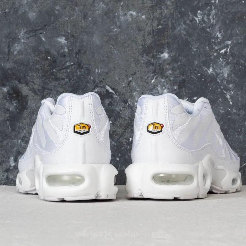 Nike air max plus