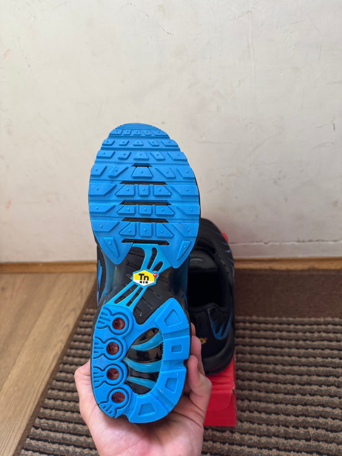 Nike Air max Plus Broj 39,44(Odmah dostupno)
