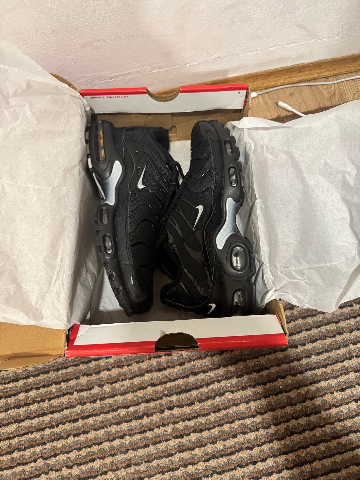 Nike Air max Plus Broj 41(Odmah dostupno)