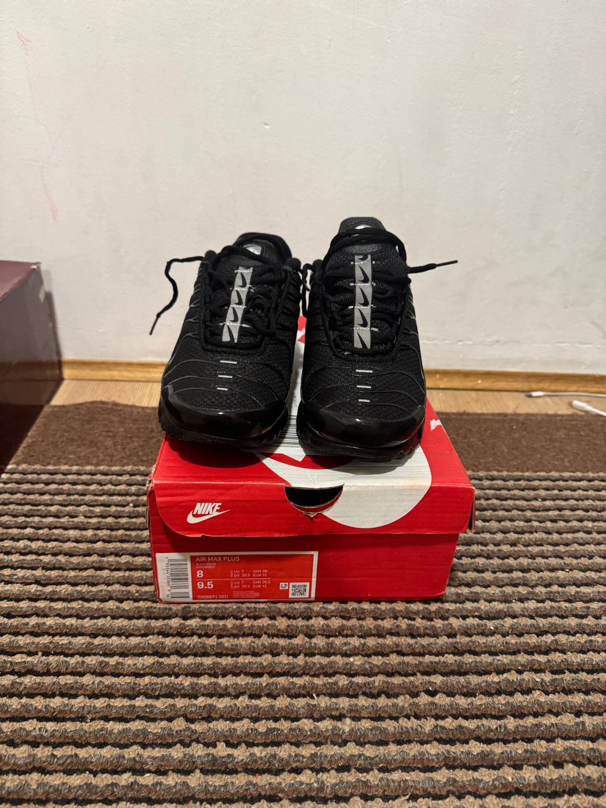 Nike Air max Plus Broj 41(Odmah dostupno)