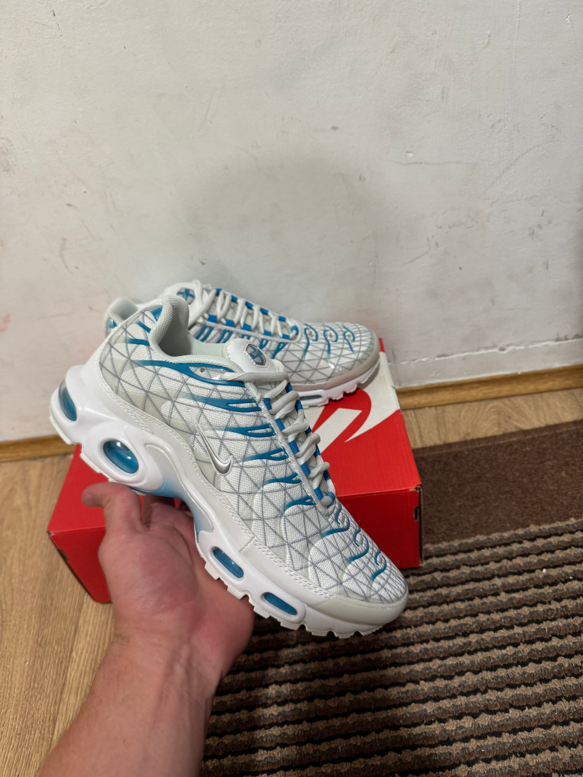 Nike Air max Plus Broj 43(Odmah dostupno)